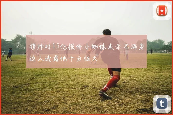 穆帅对15亿报价小蜘蛛表示不满身边人透露他十分恼火
